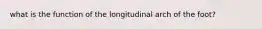 what is the function of the longitudinal arch of the foot?