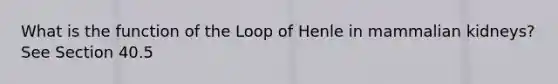 What is the function of the Loop of Henle in mammalian kidneys? See Section 40.5