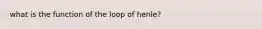 what is the function of the loop of henle?