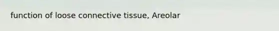 function of loose <a href='https://www.questionai.com/knowledge/kYDr0DHyc8-connective-tissue' class='anchor-knowledge'>connective tissue</a>, Areolar