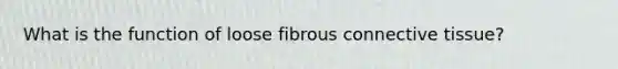 What is the function of loose fibrous connective tissue?