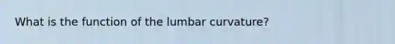 What is the function of the lumbar curvature?