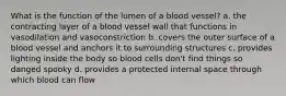 What is the function of the lumen of a blood vessel? a. the contracting layer of a blood vessel wall that functions in vasodilation and vasoconstriction b. covers the outer surface of a blood vessel and anchors it to surrounding structures c. provides lighting inside the body so blood cells don't find things so danged spooky d. provides a protected internal space through which blood can flow