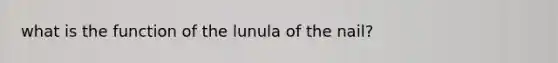 what is the function of the lunula of the nail?