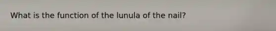 What is the function of the lunula of the nail?