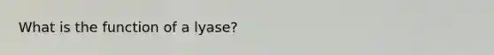 What is the function of a lyase?