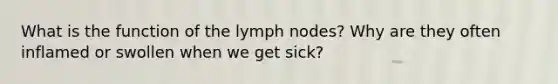 What is the function of the lymph nodes? Why are they often inflamed or swollen when we get sick?