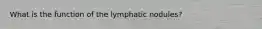 What is the function of the lymphatic nodules?