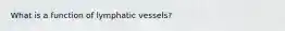What is a function of lymphatic vessels?