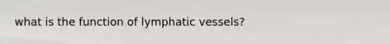 what is the function of lymphatic vessels?