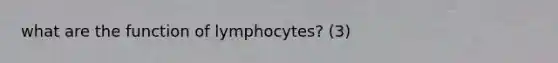 what are the function of lymphocytes? (3)