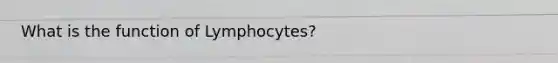 What is the function of Lymphocytes?