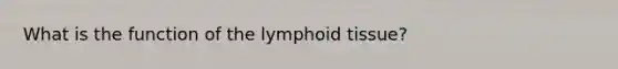 What is the function of the lymphoid tissue?