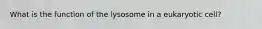 What is the function of the lysosome in a eukaryotic cell?