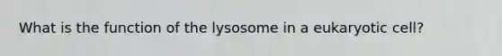 What is the function of the lysosome in a eukaryotic cell?