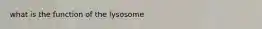 what is the function of the lysosome