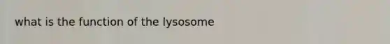 what is the function of the lysosome