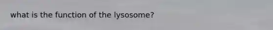 what is the function of the lysosome?