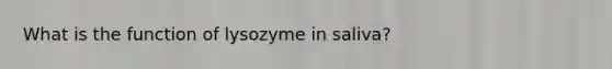 What is the function of lysozyme in saliva?