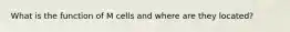 What is the function of M cells and where are they located?