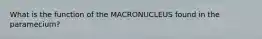 What is the function of the MACRONUCLEUS found in the paramecium?