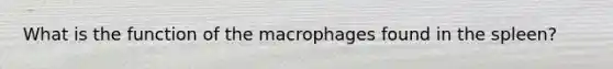 What is the function of the macrophages found in the spleen?