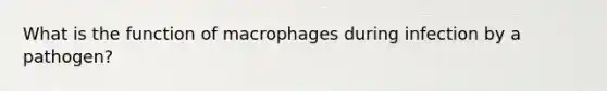 What is the function of macrophages during infection by a pathogen?