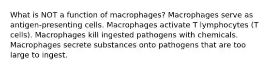 What is NOT a function of macrophages? Macrophages serve as antigen-presenting cells. Macrophages activate T lymphocytes (T cells). Macrophages kill ingested pathogens with chemicals. Macrophages secrete substances onto pathogens that are too large to ingest.