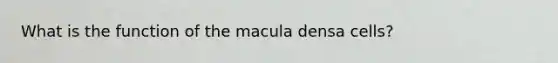 What is the function of the macula densa cells?