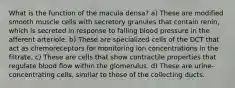 What is the function of the macula densa? a) These are modified smooth muscle cells with secretory granules that contain renin, which is secreted in response to falling blood pressure in the afferent arteriole. b) These are specialized cells of the DCT that act as chemoreceptors for monitoring ion concentrations in the filtrate. c) These are cells that show contractile properties that regulate blood flow within the glomerulus. d) These are urine-concentrating cells, similar to those of the collecting ducts.