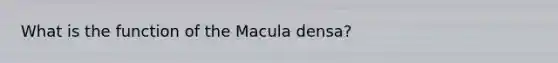 What is the function of the Macula densa?