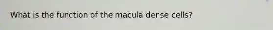 What is the function of the macula dense cells?