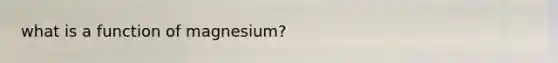 what is a function of magnesium?