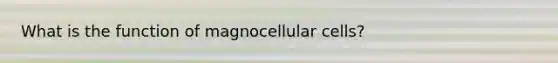 What is the function of magnocellular cells?