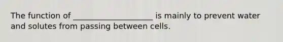 The function of ____________________ is mainly to prevent water and solutes from passing between cells.