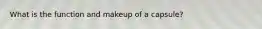 What is the function and makeup of a capsule?