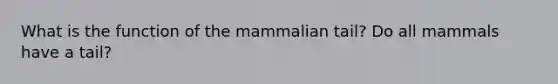 What is the function of the mammalian tail? Do all mammals have a tail?