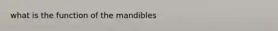 what is the function of the mandibles