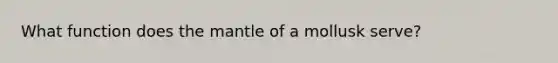 What function does the mantle of a mollusk serve?