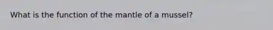 What is the function of the mantle of a mussel?