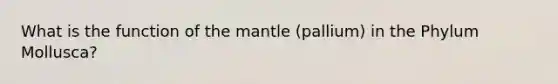 What is the function of the mantle (pallium) in the Phylum Mollusca?