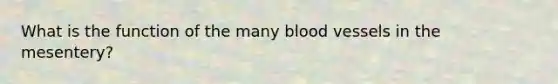 What is the function of the many blood vessels in the mesentery?