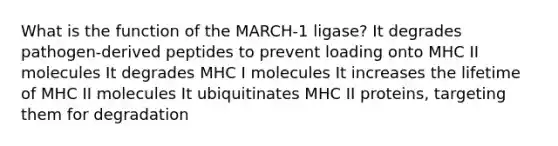 What is the function of the MARCH-1 ligase? It degrades pathogen-derived peptides to prevent loading onto MHC II molecules It degrades MHC I molecules It increases the lifetime of MHC II molecules It ubiquitinates MHC II proteins, targeting them for degradation