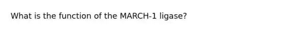 What is the function of the MARCH-1 ligase?