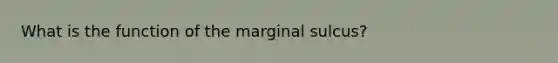 What is the function of the marginal sulcus?