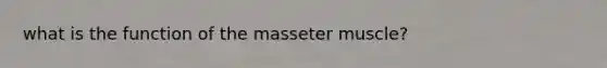 what is the function of the masseter muscle?