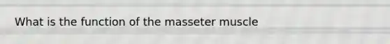 What is the function of the masseter muscle