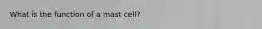 What is the function of a mast cell?