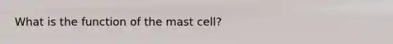 What is the function of the mast cell?