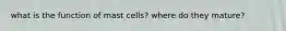 what is the function of mast cells? where do they mature?